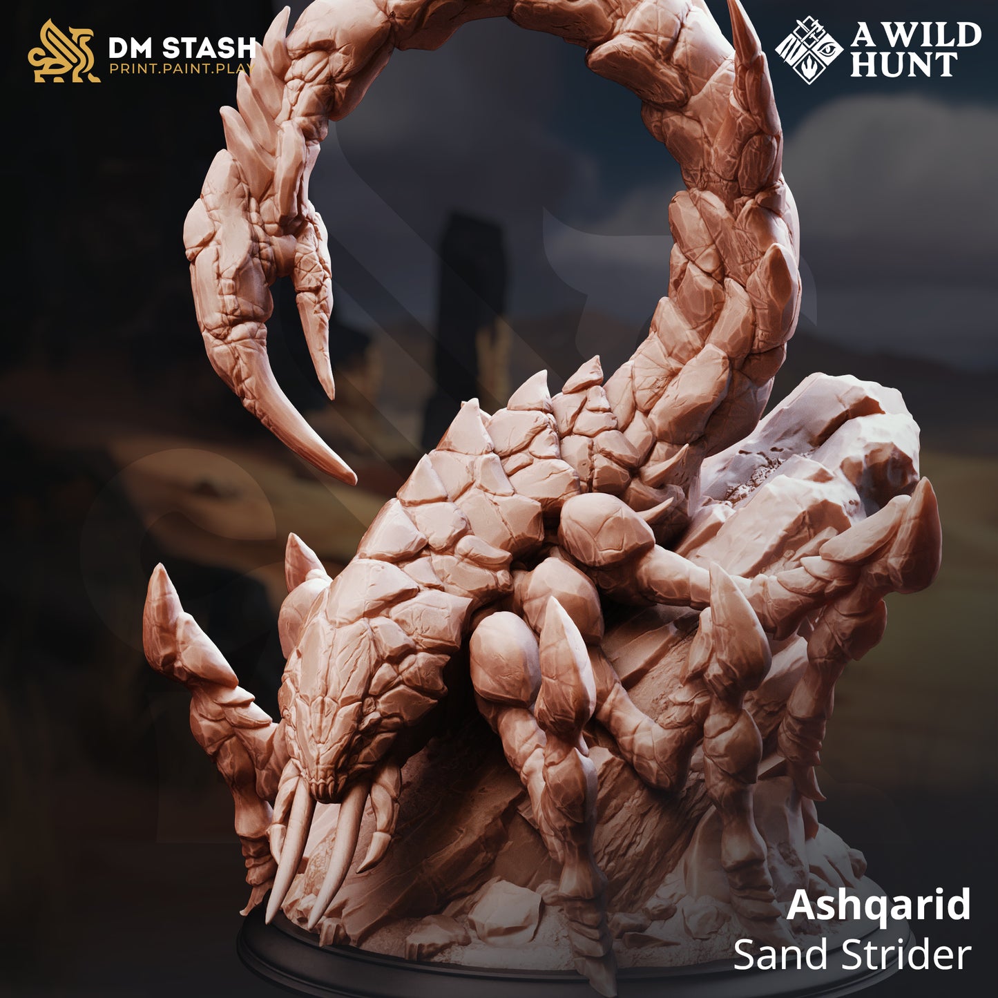 Ashqarid Sand Strider D&D miniatuur - mysterieuze swift desert nomad met flowing garments uit A Wild Hunt collectie, premium DND miniaturen fantasy sand strider voor TTRPG desert encounters uit Nederland bij Quest & Craft