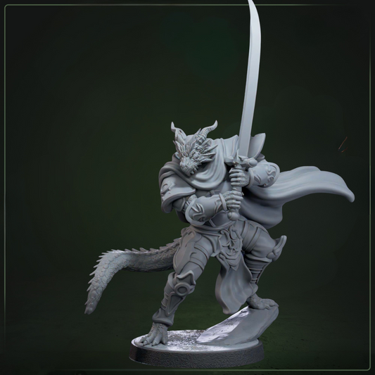 Drakkari Crusader 2 D&D miniatuur - elite dragonkin crusader uit Solaris Drakkarum warband, hoogdetail resin DND miniaturen voor fantasy tabletop RPG van Quest & Craft