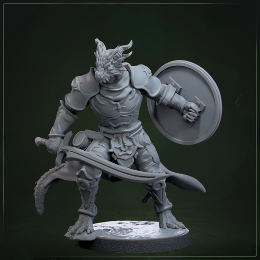 Drakkari Flameblade 2 D&D miniatuur - immortal flame cultist uit Solaris Drakkarum collectie, TTRPG miniaturen voor Dungeons & Dragons van Quest & Craft