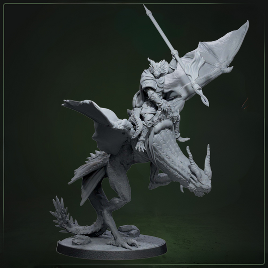 Drakkari Wyvern Riders 2 D&D miniatuur - aerial cavalry met wyvern mount uit drakenridders warband set, fantasy miniaturen voor flying encounters bij Quest & Craft