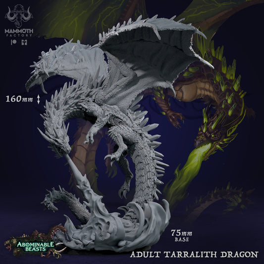 Adult Tarralith Dragon D&D miniatuur - legendarische large scale Tarr-gedoemde draak uit Tarralith Dragon Evolution collectie, hoogdetail resin DND miniaturen voor fantasy tabletop RPG van Quest & Craft

