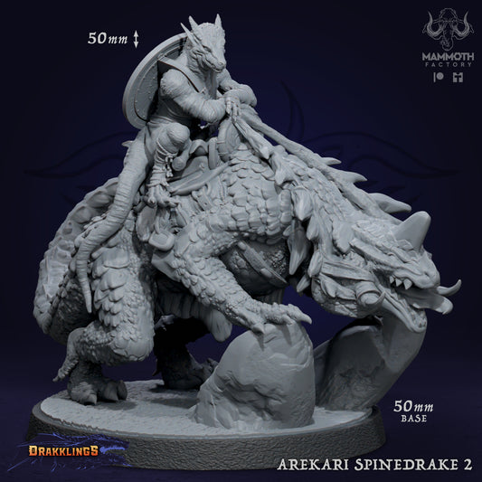 Arekari Spinedrake 2 D&D miniatuur - klimpt op stenen - woestijn drake met spine attacks uit warband set, 50mm fantasy miniaturen voor medium encounters bij Quest & Craft
