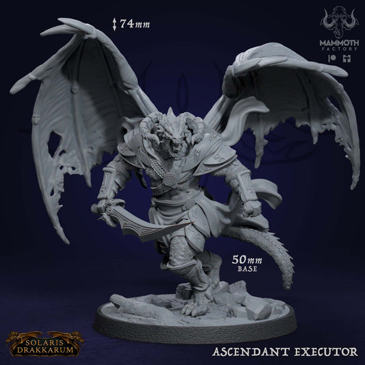 Ascendant Executor Vonnisbrenger D&D miniatuur - meedogenloze immortal flame inquisitor uit Solaris Drakkarum collectie, hoogdetail resin DND miniaturen voor fantasy tabletop RPG van Quest & Craft
