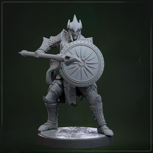 Auxiliar Spearmen 2 D&D miniatuur - disciplinaire spearman uit Drakkari infanterie warband set, fantasy miniaturen voor infantry encounters bij Quest & Craft
