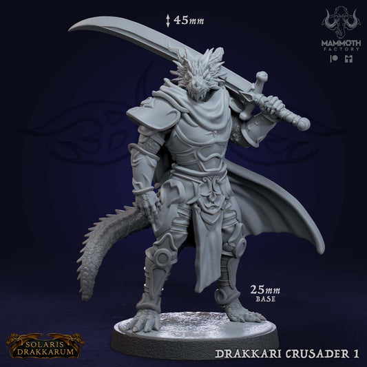 Drakkari Crusader 1 D&D miniatuur - elite dragonkin crusader uit Solaris Drakkarum warband, hoogdetail resin DND miniaturen voor fantasy tabletop RPG van Quest & Craft
