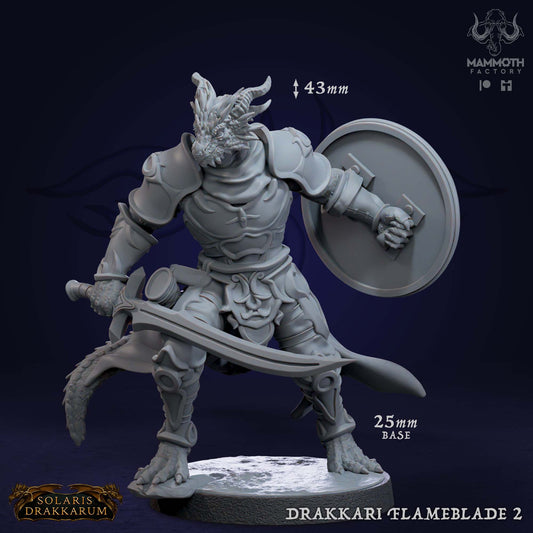 Drakkari Flameblade 2 D&D miniatuur - immortal flame cultist uit Solaris Drakkarum collectie, TTRPG miniaturen voor Dungeons & Dragons van Quest & Craft
