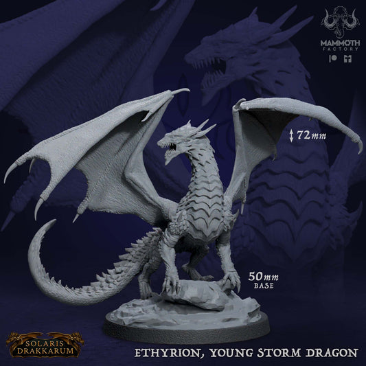 Ethyrion Young Storm Dragon D&D miniatuur - elektrische storm dragon boss uit Solaris Drakkarum collectie, hoogdetail resin DND miniaturen voor fantasy tabletop RPG van Quest & Craft

