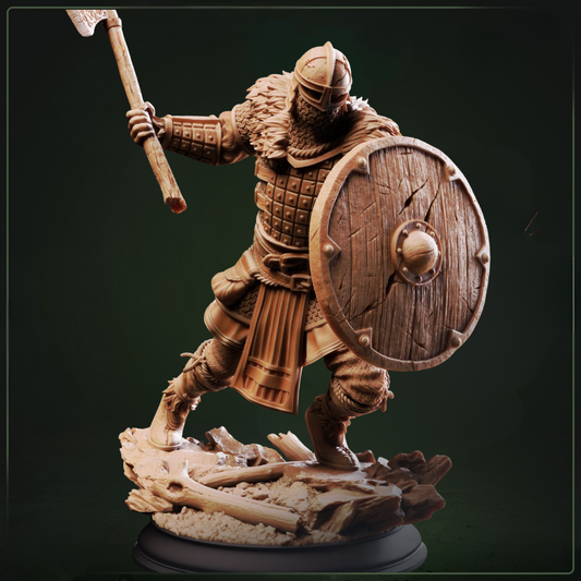 Nils Olav The Heartland Hero D&D miniatuur - dappere noble warrior met heroic stance uit Shadow over Nordheim collectie, premium DND miniaturen fantasy champion voor TTRPG heroic campaigns uit Nederland bij Quest & Craft