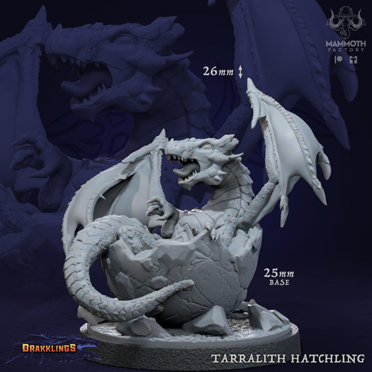 Tarralith Hatchling Mutant Baby Dragon D&D miniatuur - schattige mutant baby draak uit Tarralith Dragon Evolution collectie, hoogdetail resin DND miniaturen voor fantasy tabletop RPG van Quest & Craft
