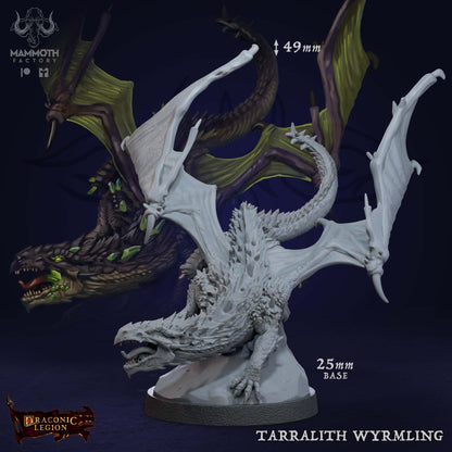 Tarralith Wyrmling D&D miniatuur - mysterieuze magie-etende draak uit Tarralith Dragon Evolution collectie, hoogdetail resin DND miniaturen voor fantasy tabletop RPG van Quest & Craft
