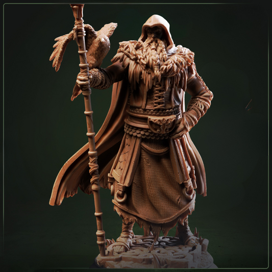 The One Eyed Wanderer Verloren God D&D miniatuur - mysterieuze fallen deity met divine markings uit Shadow over Nordheim collectie, premium DND miniaturen fantasy god voor TTRPG divine encounters uit Nederland bij Quest & Craft