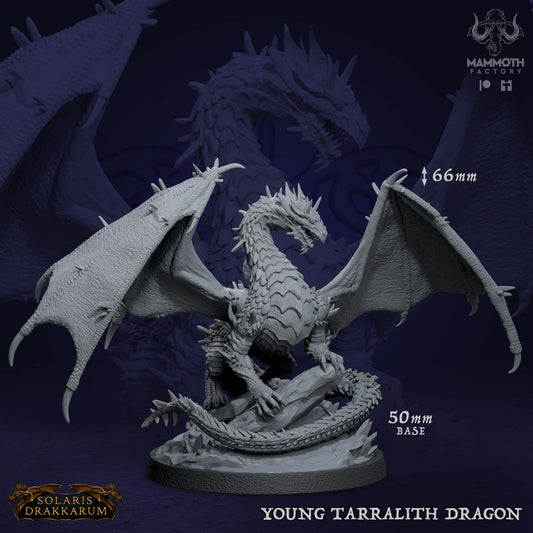 Young Tarralith Dragon D&D miniatuur - krachtige mutated draak uit Tarralith Dragon Evolution collectie, hoogdetail resin DND miniaturen voor fantasy tabletop RPG van Quest & Craft
